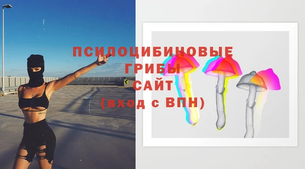 твердый Богородск