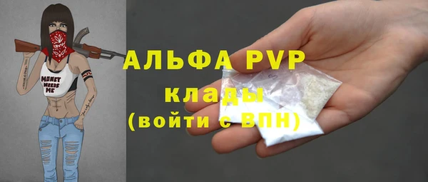 твердый Богородск