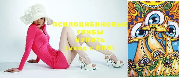 меф Богородицк